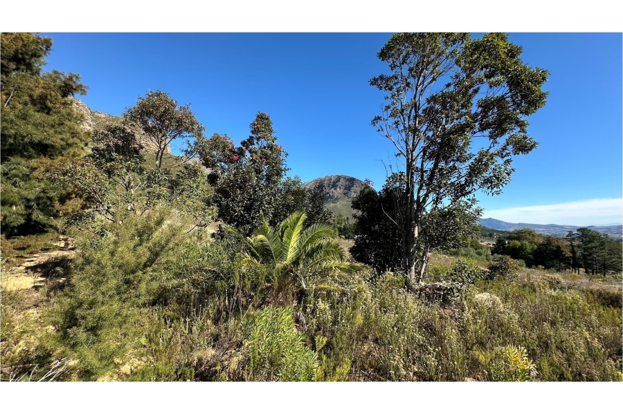 0 Bedroom Property for Sale in Paarl Rural Western Cape